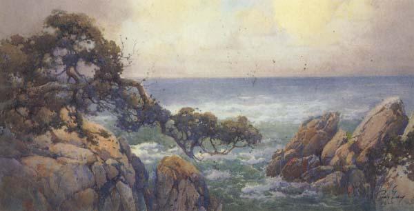unknow artist Cypress Trees on the Monterey Coast oil painting picture